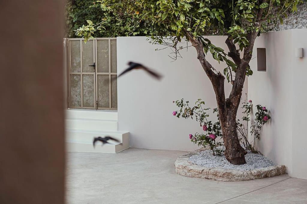 Lotusland, A Relaxing House At Amari Rethymno Βίλα Αγία Φωτεινή Εξωτερικό φωτογραφία